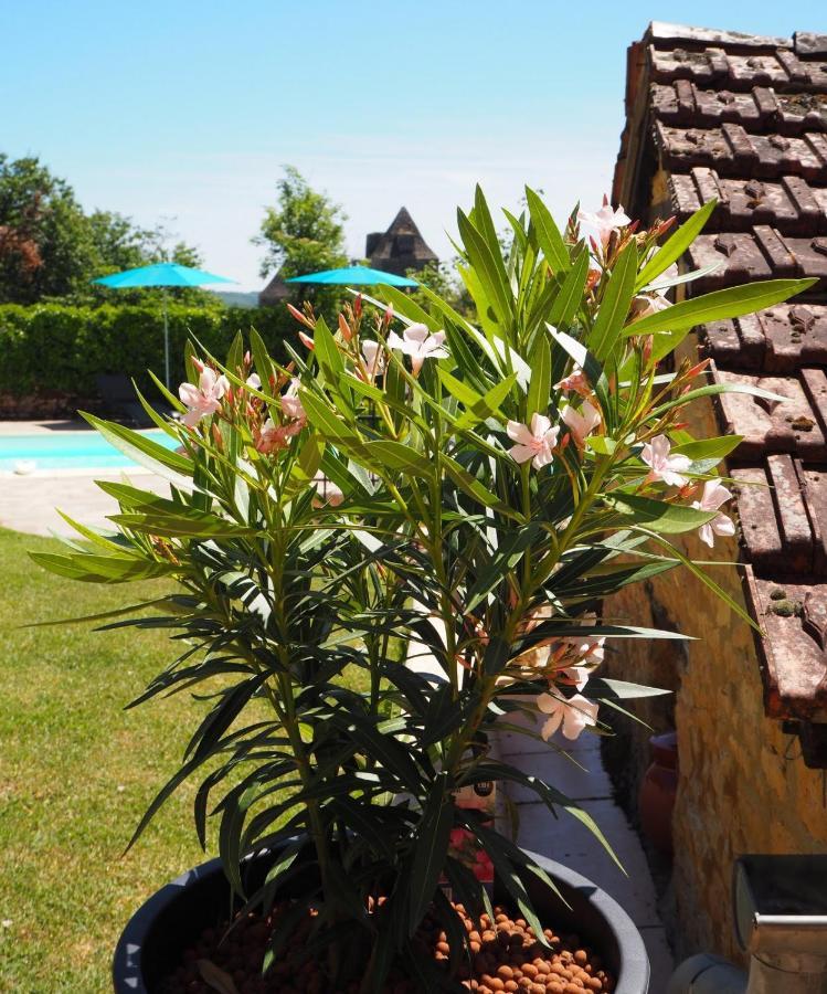 Le Clos De La Musardise - Gites De Charme Avec Piscine Chauffee Salignac Eyvigues Bagian luar foto